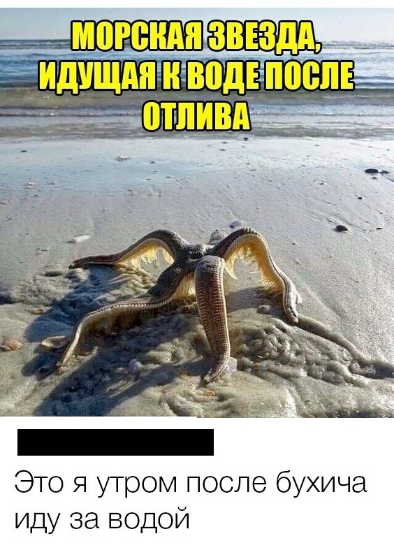 Доминируй, удивляй: правила связывания от БДСМ-профи Доминируй, удивляй: правила связывания от БДСМ-профи