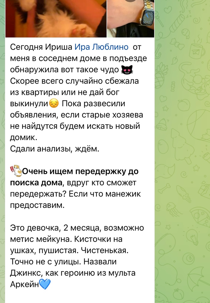 Путь Сереги начался с имени Джинкс. Ну какая он Джинкс, если он Серега.