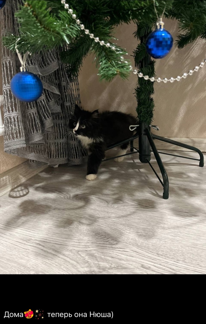 Там Серега на время стал Нюшей.