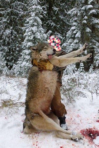 ������� ������ ����������