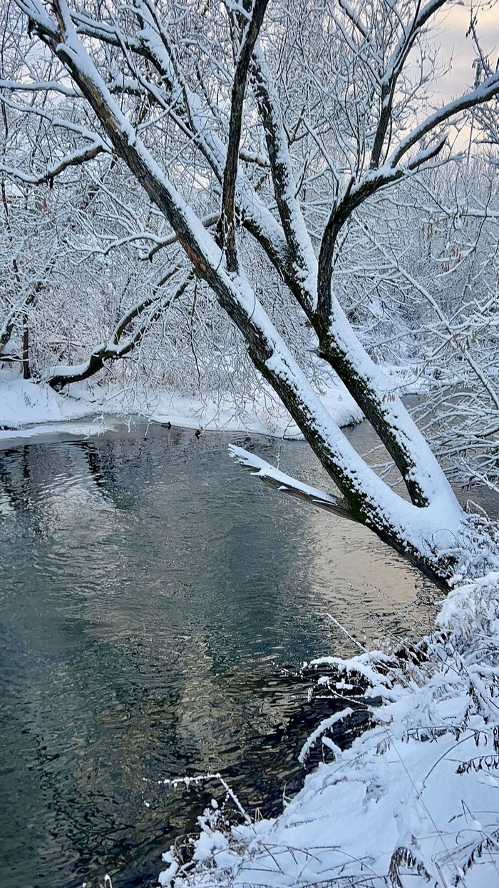 Ответ на пост «Конкурс зимних фотографий на Пикабу»