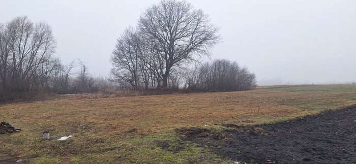 Конкурс зимних фотографии