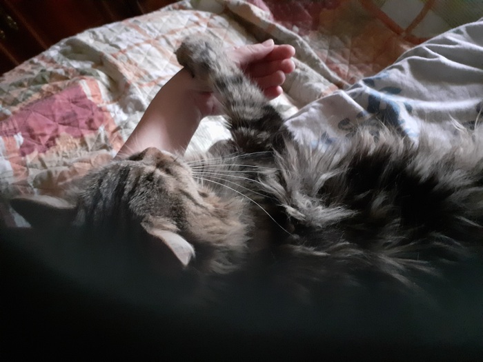 Бездельник и работница