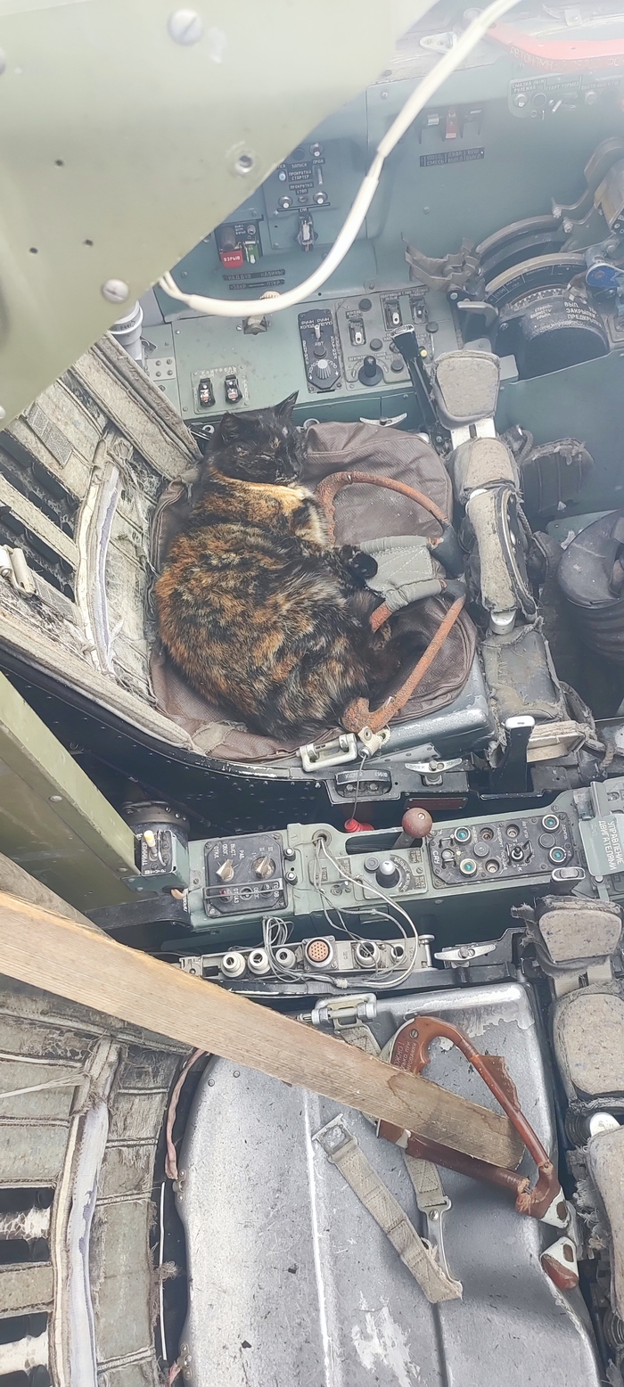 Одна из учебных капсул.Кошка Маша пилот высшей категории