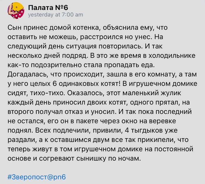 Маленький жулик