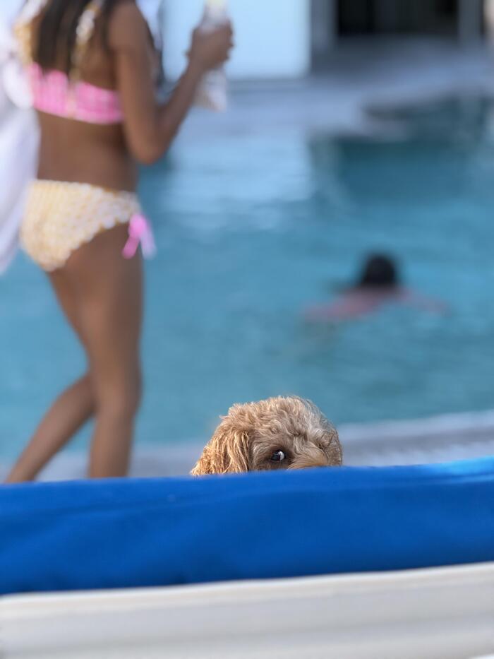 А ты не подсматривай!