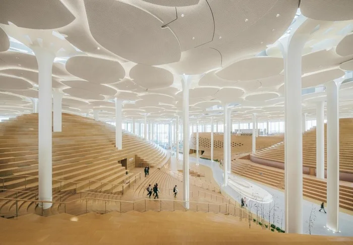 Beijing Municipal Library - The library with the largest reading room in the world - Building, Architecture, Tourism, Local history, Library, sights, The culture, China, Beijing, Travels, Art, Literature, Books, Design, Interior, Norway, Longpost