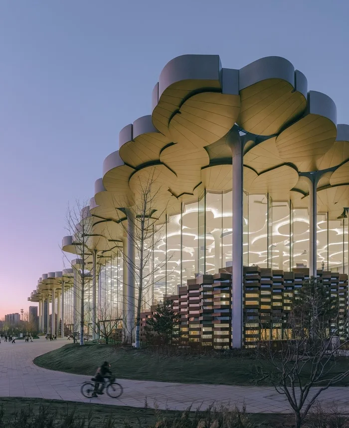 Beijing Municipal Library - The library with the largest reading room in the world - Building, Architecture, Tourism, Local history, Library, sights, The culture, China, Beijing, Travels, Art, Literature, Books, Design, Interior, Norway, Longpost