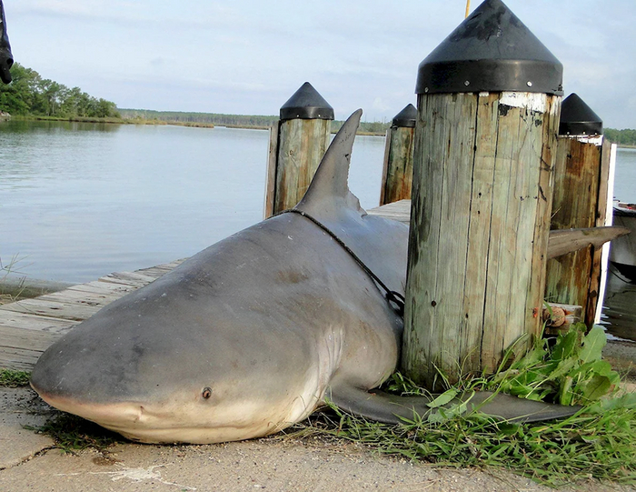 Угар на рыбалке