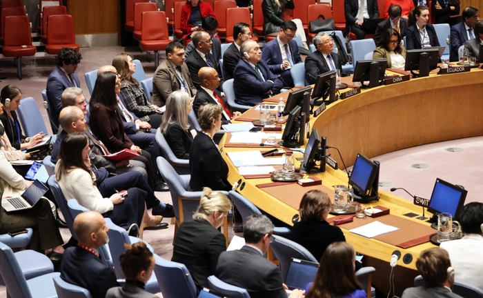 Британия пригласила на заседание СБ ООН украинского военного из «Азова»