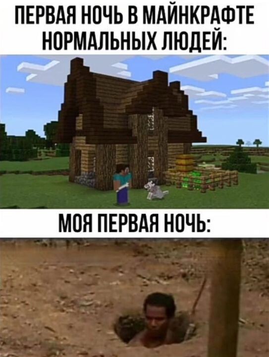     , ,   , Minecraft, Telegram ()