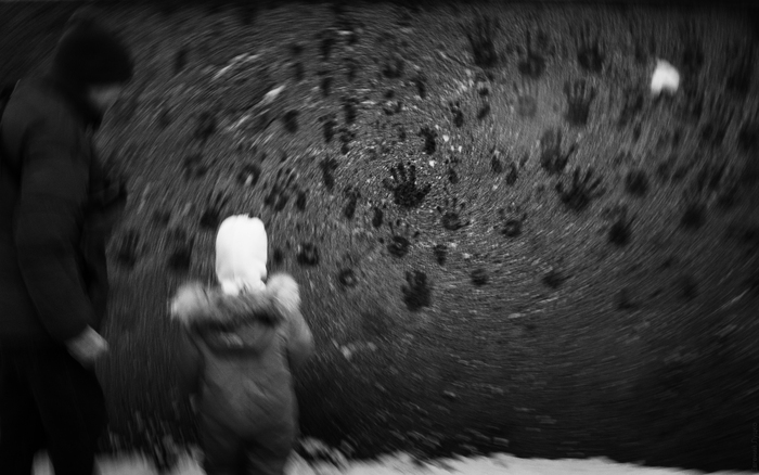 Санкт-Петербург, январь 2025г