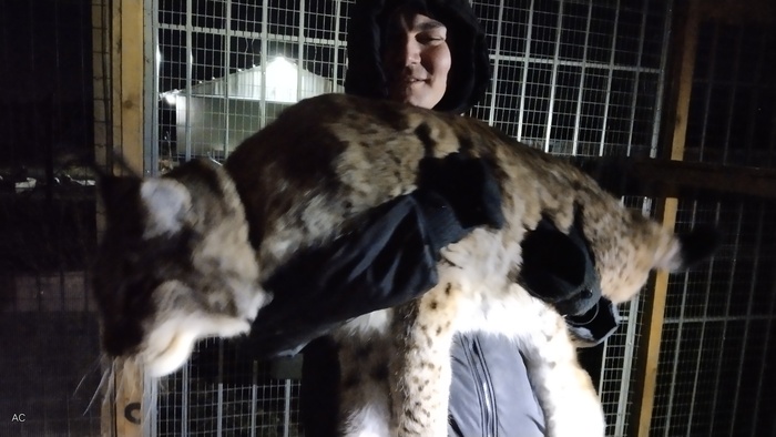 На ручках. Муж называет это "букет из Кота"