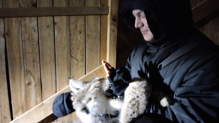 Геральт очень хотел съесть перчатки, но вредный человек не резрешил