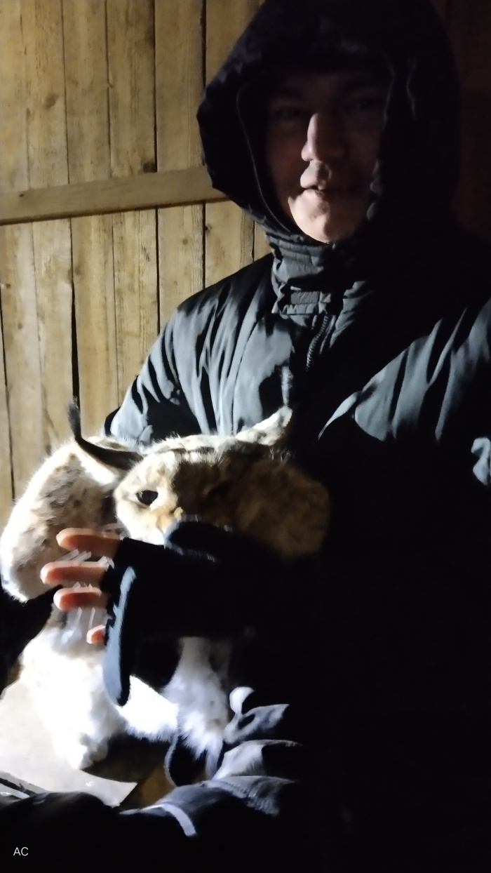 Все ещё жуёт перчатку