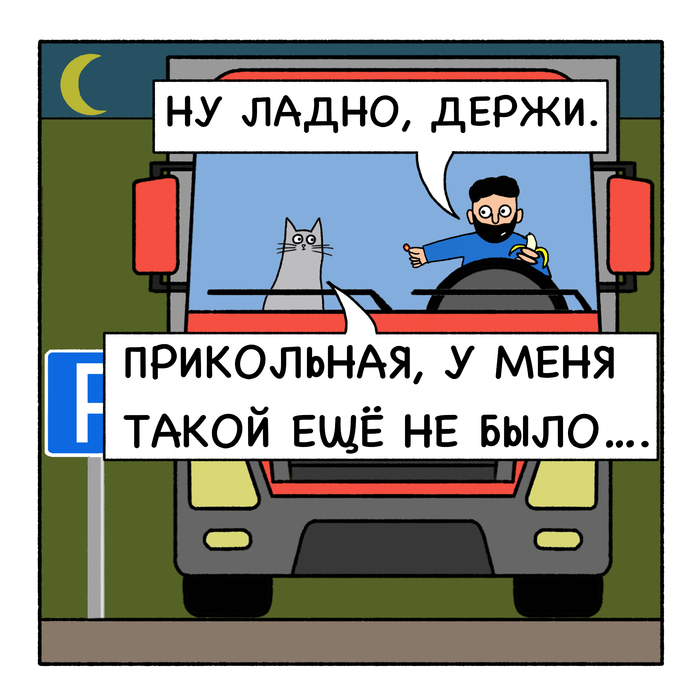  ,  ,     (), 
