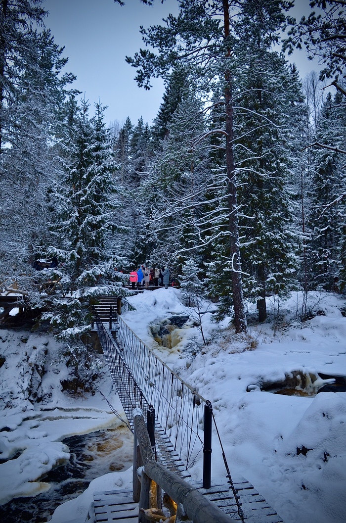 ����� �� ���� �������� ������ ���������� �� ������