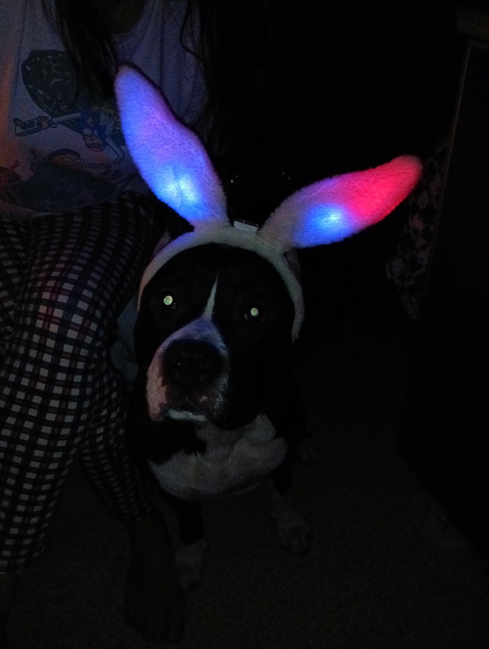  !!!!!!!!!!!!!!!!!!!!!!!!!!