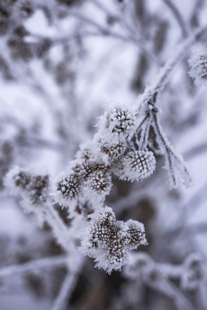 ����� �� ���� �������� ������ ���������� �� ������