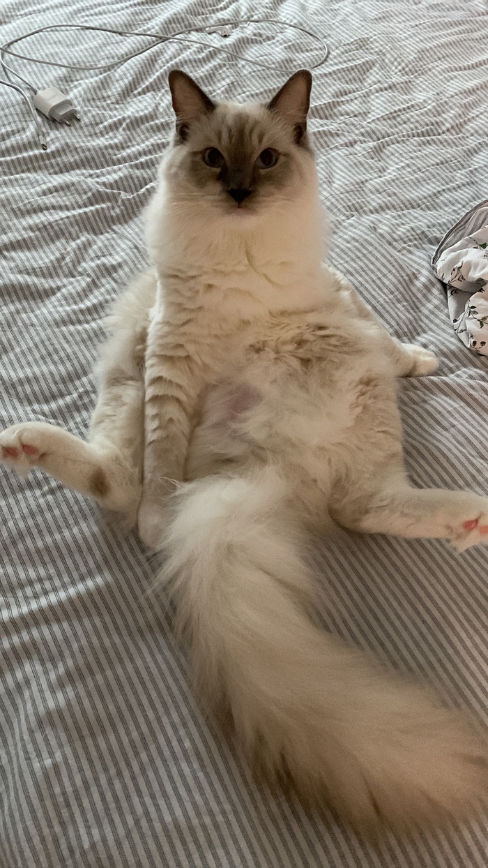 18+