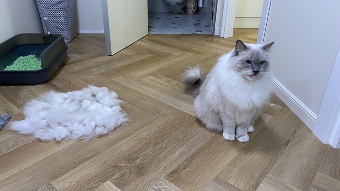 Не нравится чесаца