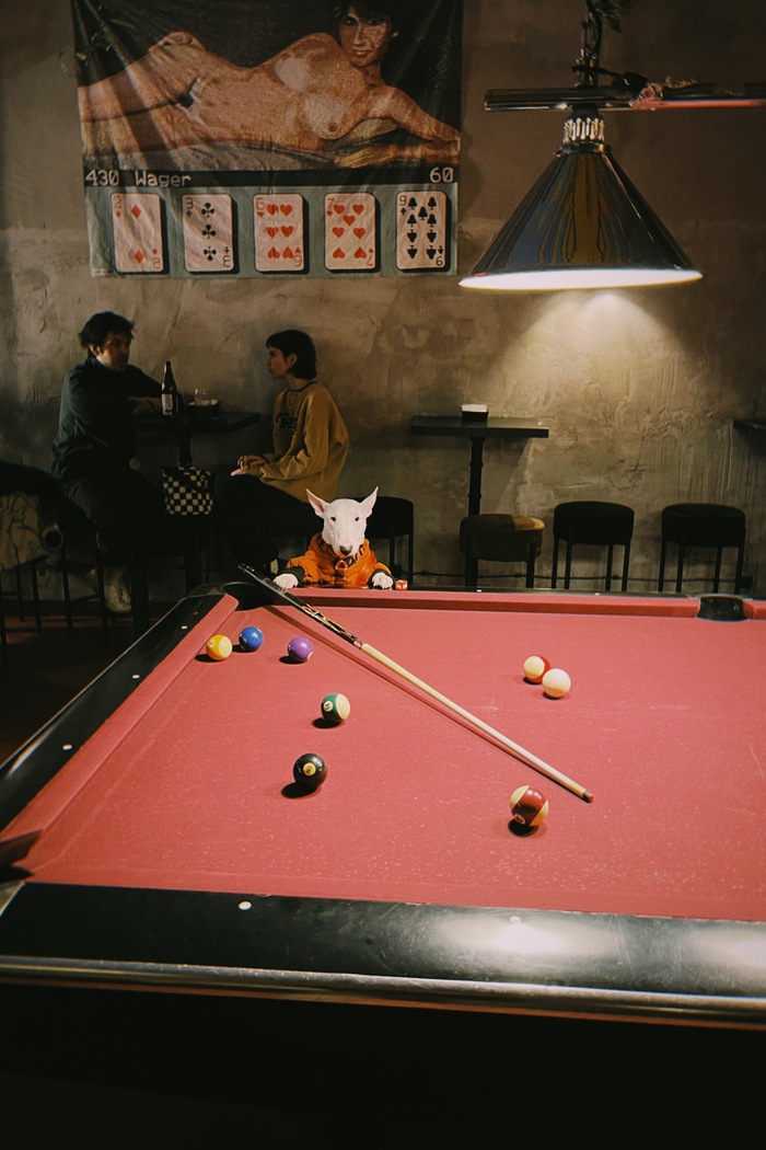 обыграл меня в бильярд