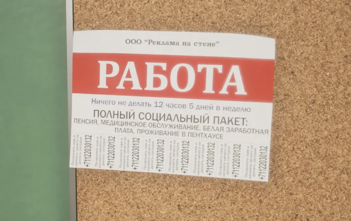 Идеальная работа - Игры, Юмор, Работа, Картинка с текстом, Видео, Короткие видео