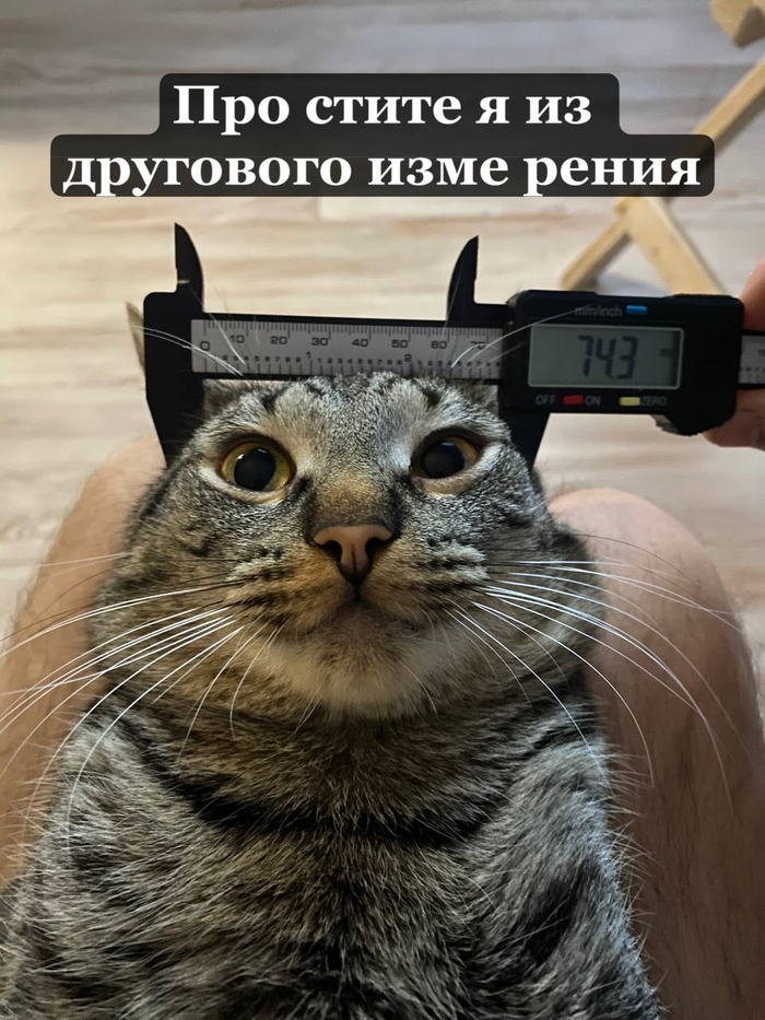 IQ    , , 