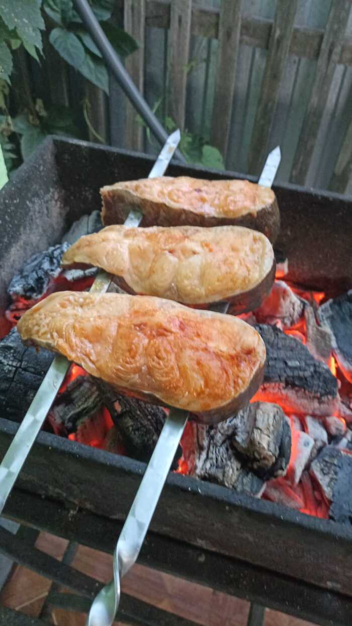 Шашлык из СОМА