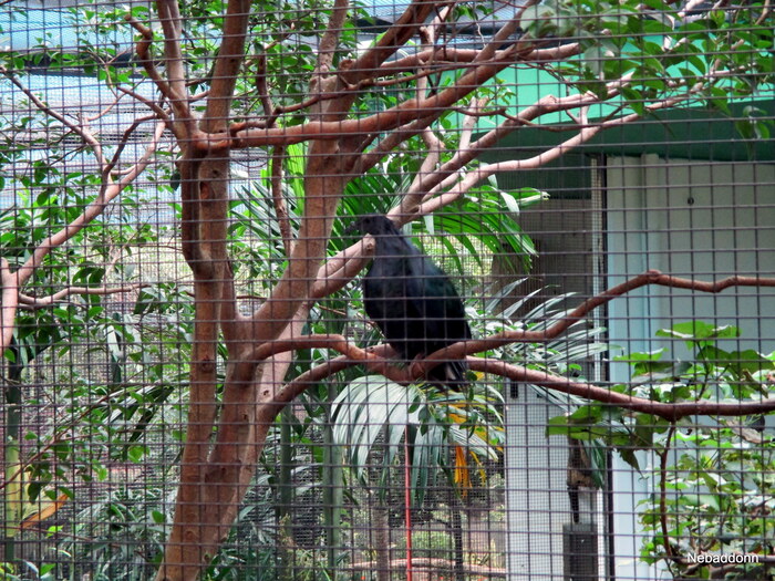 �������?