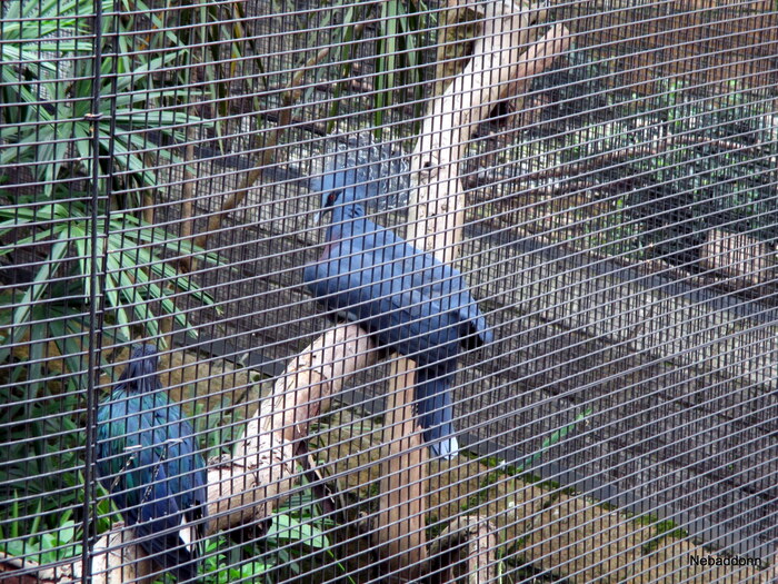 ����� �������? ��� ������...