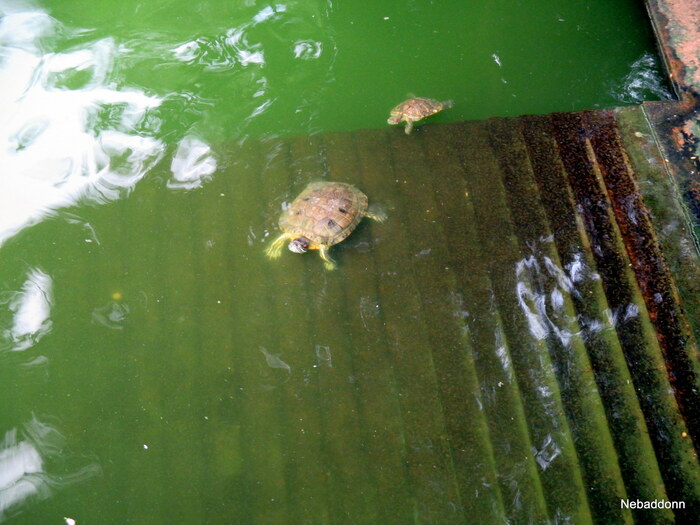 ������ ����� � ������ ����.