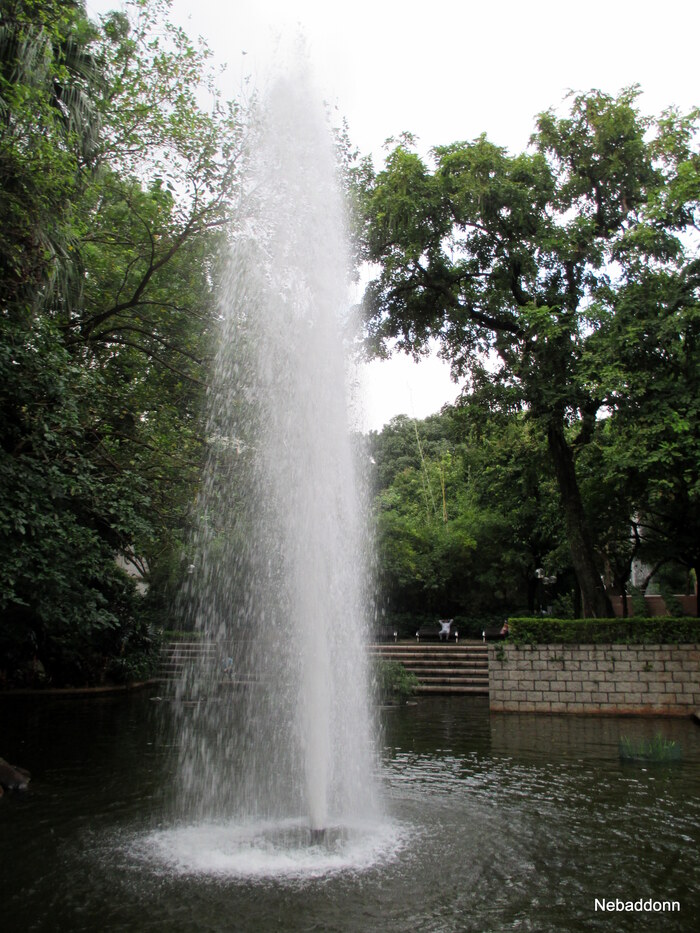 �� ������, � ���������!