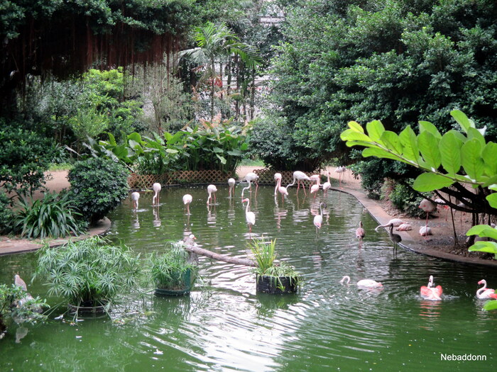 ������� ��������...