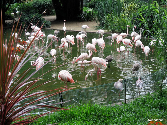 ������ �������...