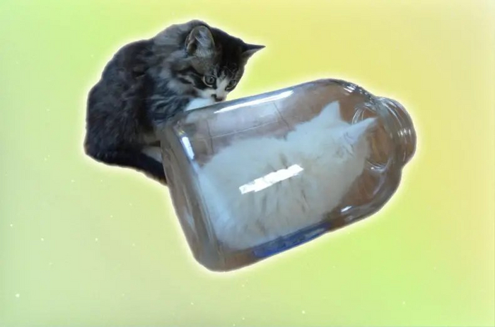 -, -,  ! ,  