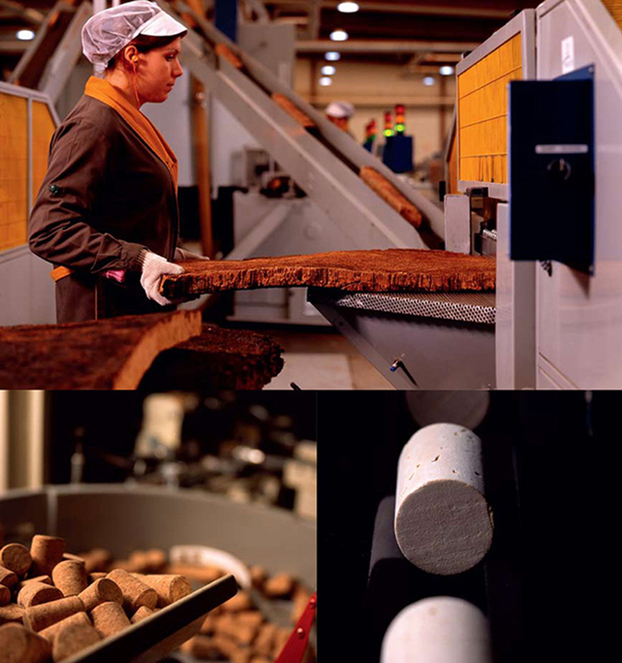 Производство пробок для винной укупорки. Фото с сайта <!--noindex--><a href="https://pikabu.ru/story/probkovyiy_dub_12261026?u=http%3A%2F%2Fcorkstyle-e.com&t=corkstyle-e.com&h=8eff9979f66be298d2e4e9327833d47c15b74917" title="http://corkstyle-e.com" target="_blank" rel="nofollow noopener">corkstyle-e.com</a><!--/noindex-->