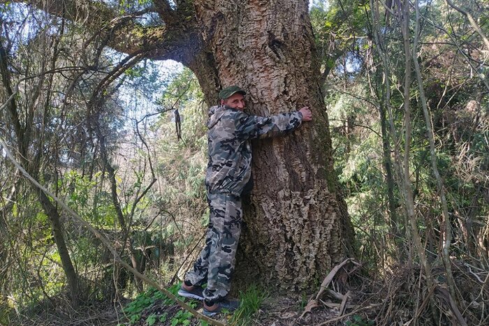      "" (. , ).    <!--noindex--><a href="https://pikabu.ru/story/probkovyie_dubyi_v_rossii_12265236?u=http%3A%2F%2Frg.ru&t=rg.ru&h=deace05901cb29bf9c37b04240519059f1fb2cc5" title="http://rg.ru" target="_blank" rel="nofollow noopener">rg.ru</a><!--/noindex-->