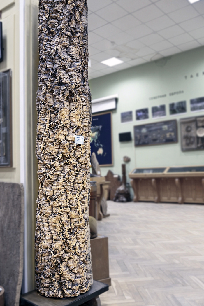 ,         1913 ., . .     .