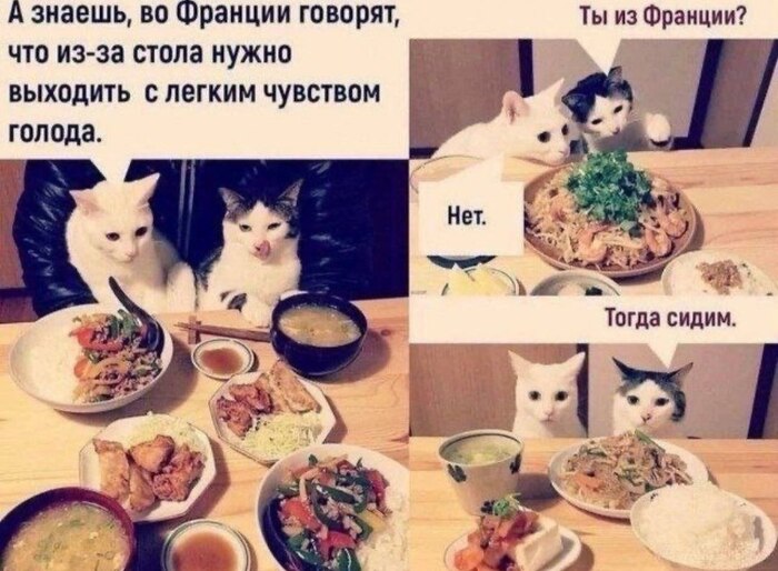 ���������� ����