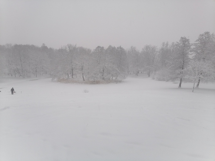 Ответ на пост «Конкурс зимних фотографий на Пикабу»