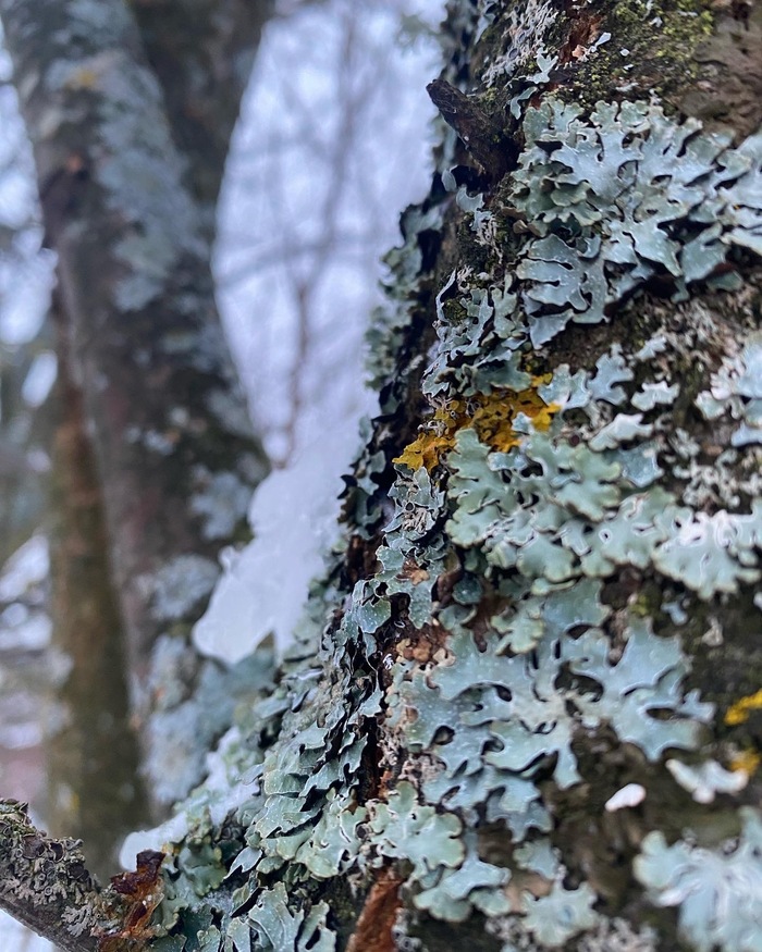 Удивлялись, сколько всего живого вокруг