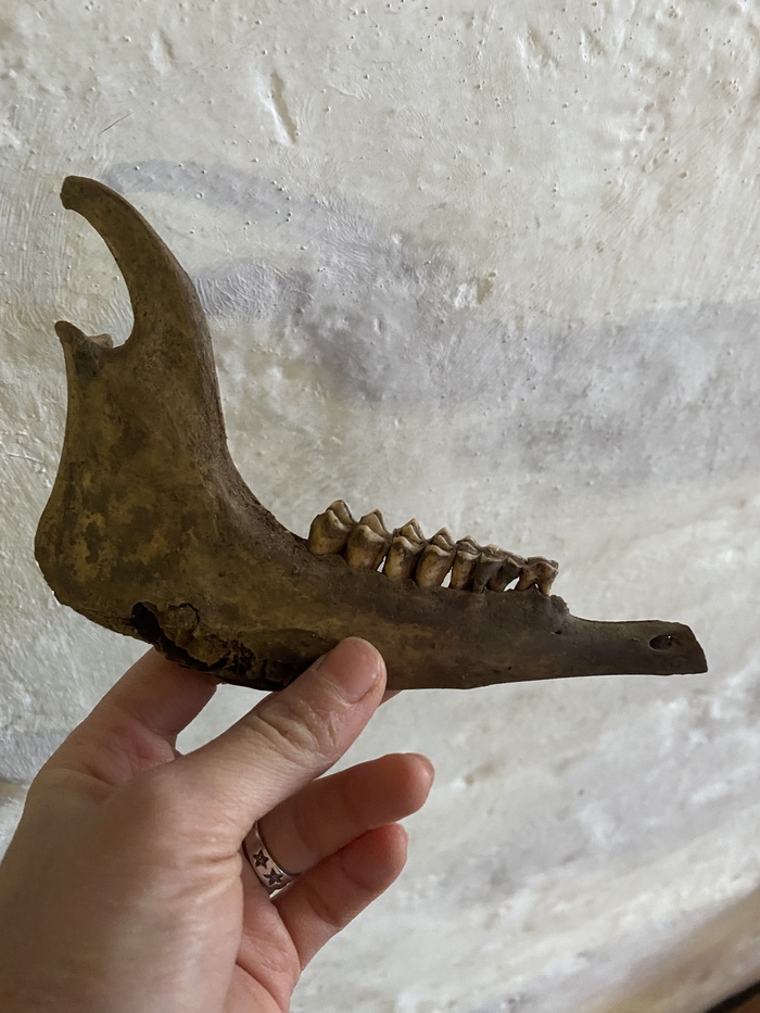 Находили всяяяякое!👀