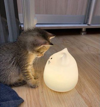       ? , , , , 
