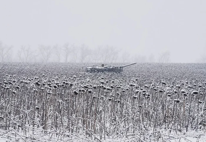 Reply to the post Winter Photo Contest on Pikabu - New Year, Peekaboo, Competition, Tucked away in 2024, The photo, A wave of posts, Special operation, Reply to post, Repeat, Winter, Lostarmour info, Tank Leopard, Kursk region, Who is in the Kursk region