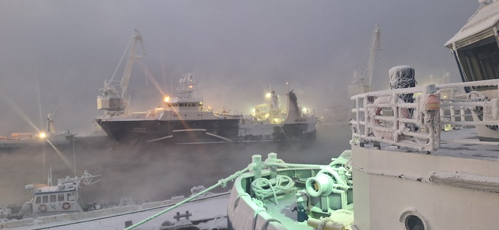 ����� �� ���� �������� ������ ���������� �� ������