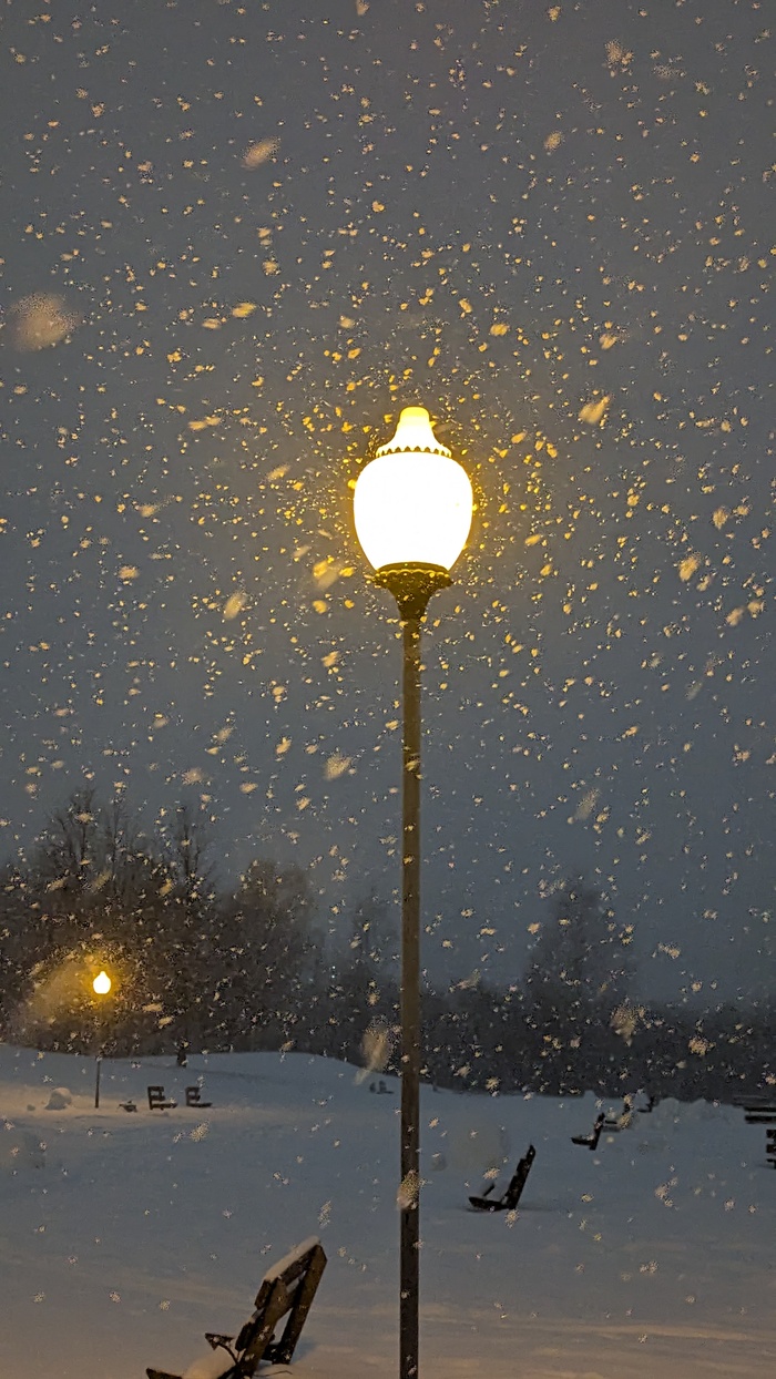 ����� �� ���� �������� ������ ���������� �� ������