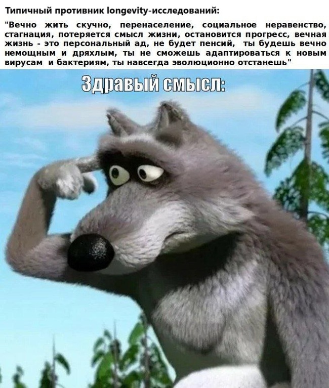     , ,  ,   , ,   