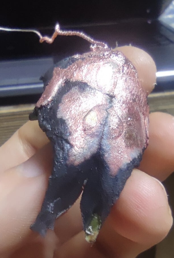     ,       .       .    , .