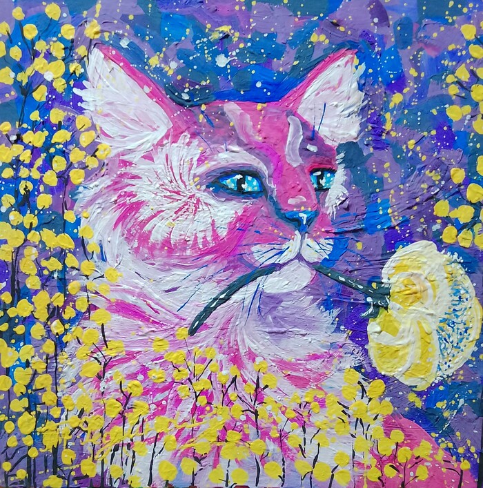 Розовый кот